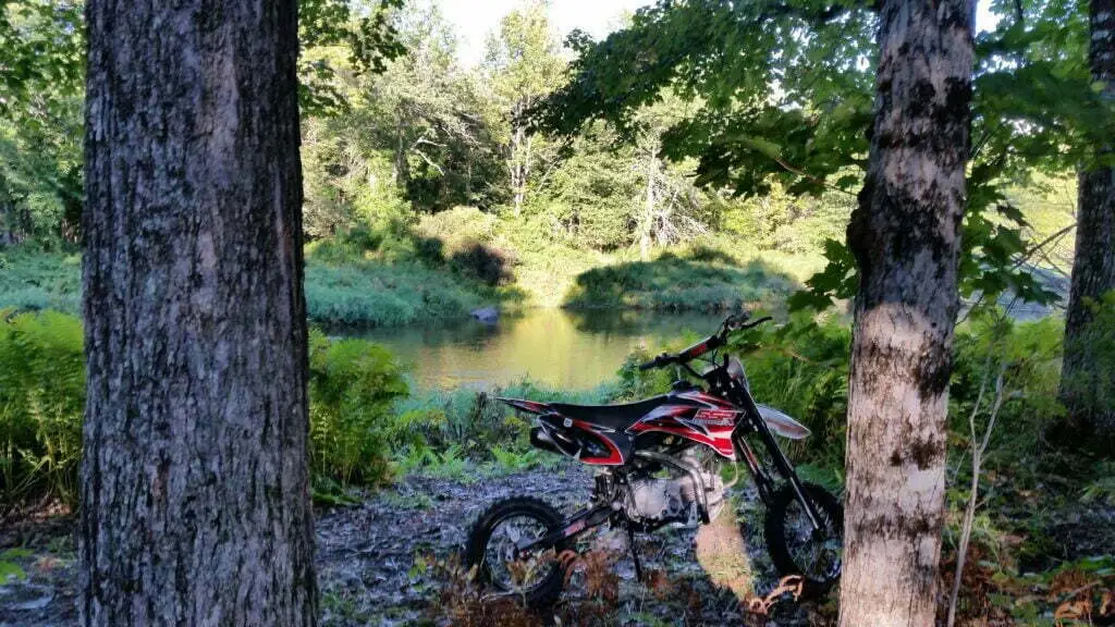 ssr 160tr pit bike