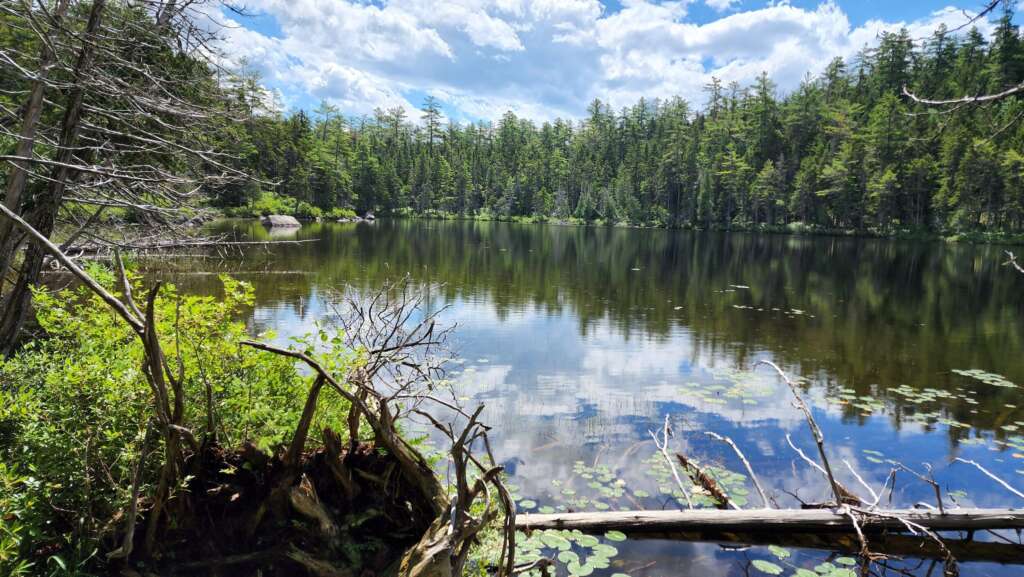Windy Pitch Pond Baxter