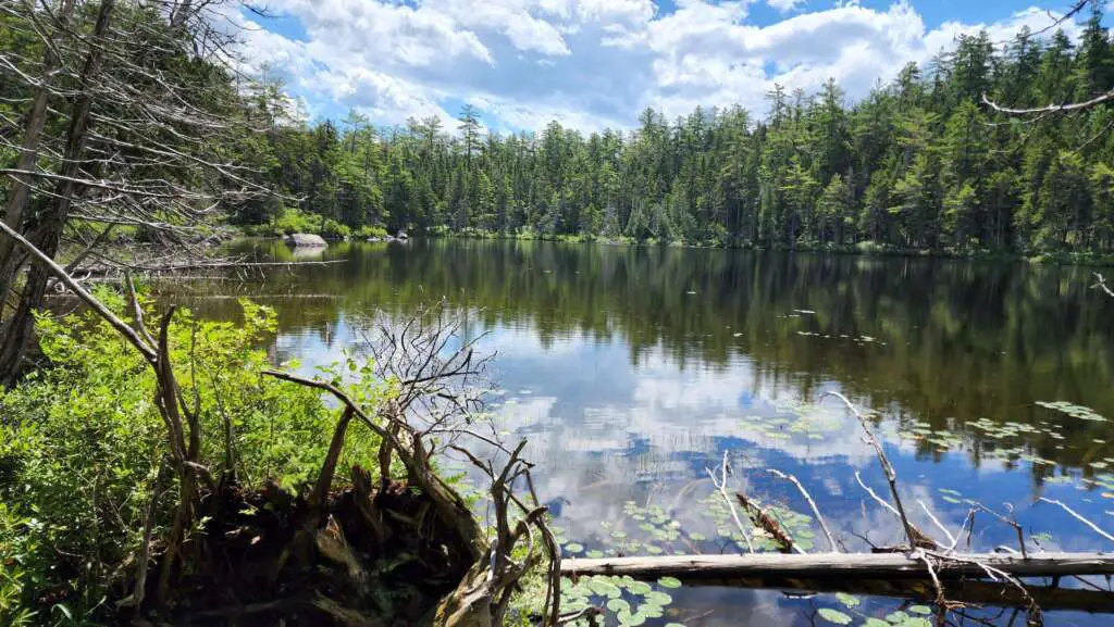 Windy Pitch Pond Baxter