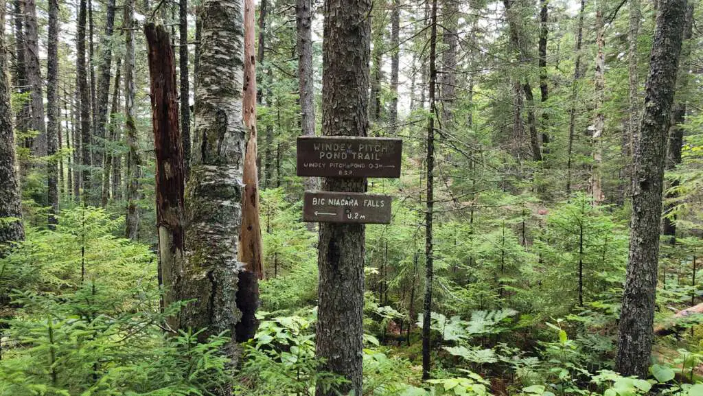 windy pitch pond trail sign